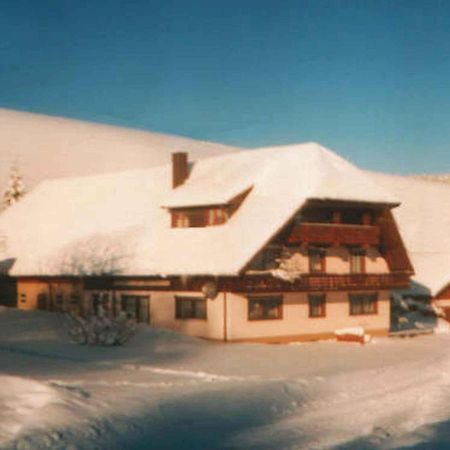 Ferienwohnung Armbruster Санкт-Георген-им-Шварцвальд Экстерьер фото