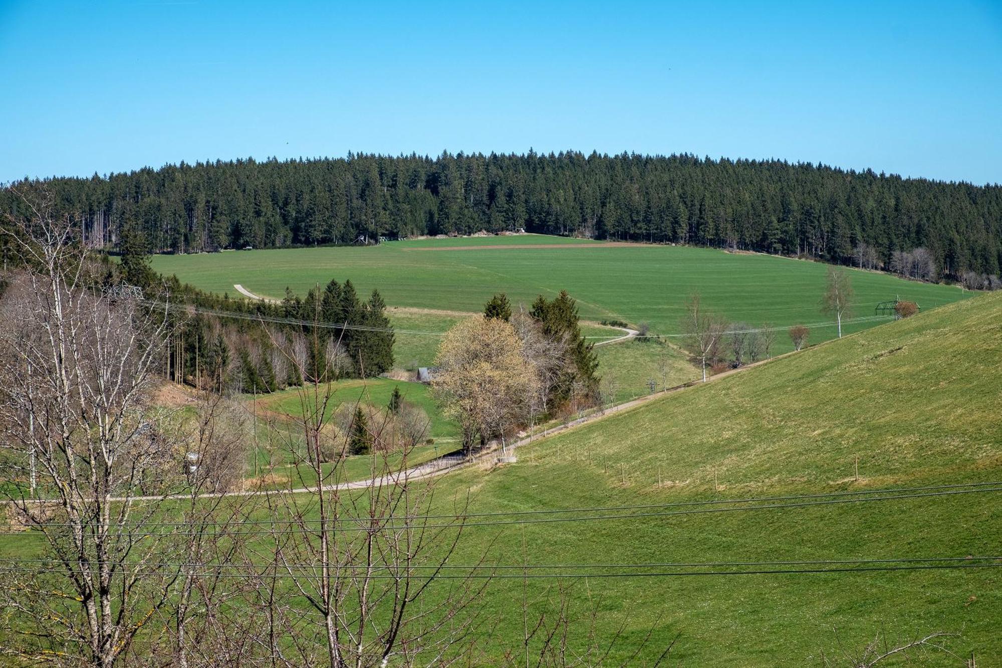 Ferienwohnung Armbruster Санкт-Георген-им-Шварцвальд Экстерьер фото