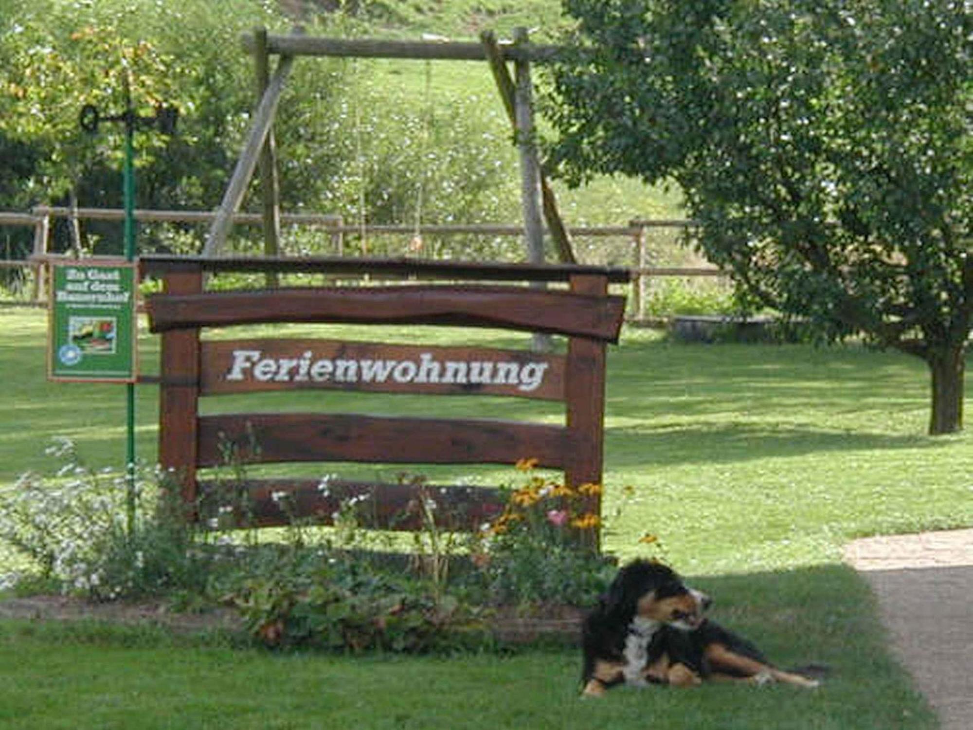 Ferienwohnung Armbruster Санкт-Георген-им-Шварцвальд Экстерьер фото