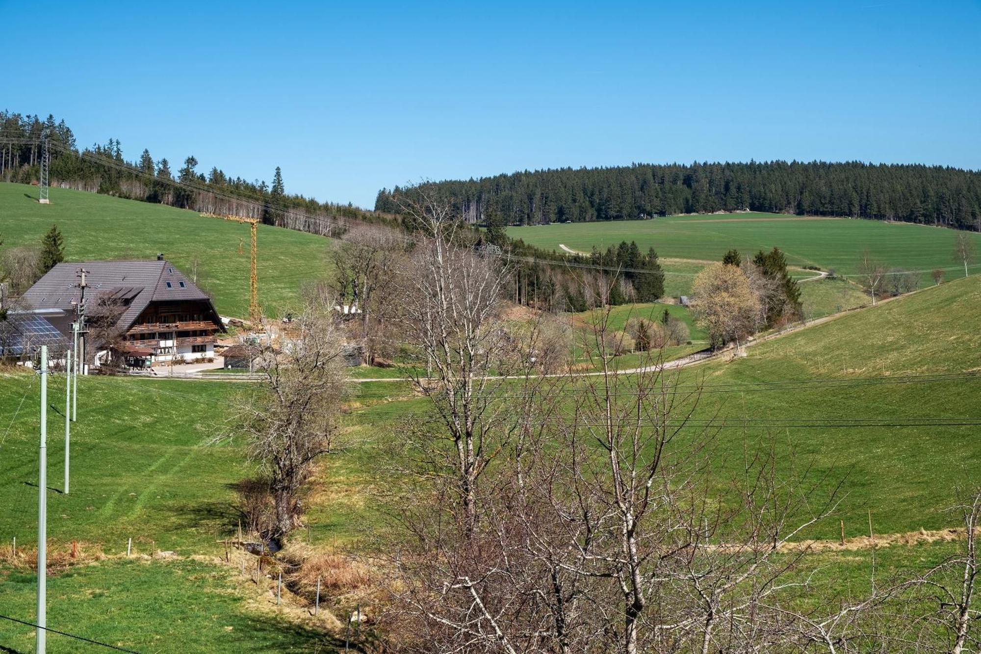 Ferienwohnung Armbruster Санкт-Георген-им-Шварцвальд Экстерьер фото